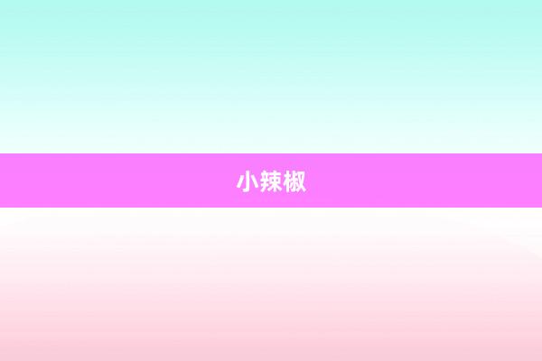 小辣椒