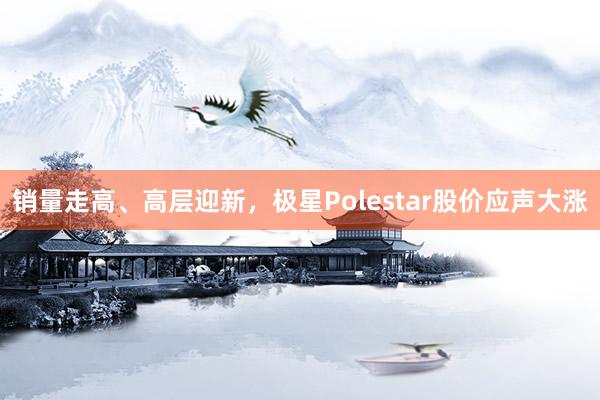 销量走高、高层迎新，极星Polestar股价应声大涨