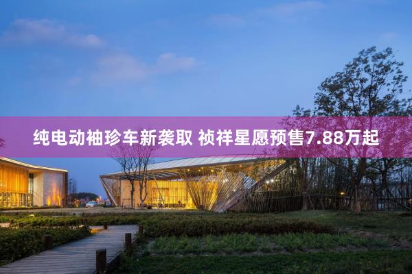 纯电动袖珍车新袭取 祯祥星愿预售7.88万起