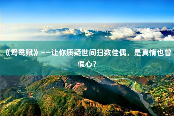 《鸳鸯赋》——让你质疑世间扫数佳偶，是真情也曾假心？