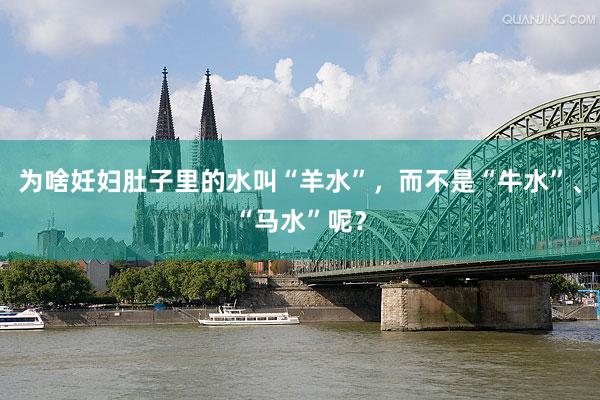 为啥妊妇肚子里的水叫“羊水”，而不是“牛水”、“马水”呢？