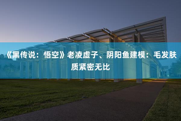 《黑传说：悟空》老凌虚子、阴阳鱼建模：毛发肤质紧密无比