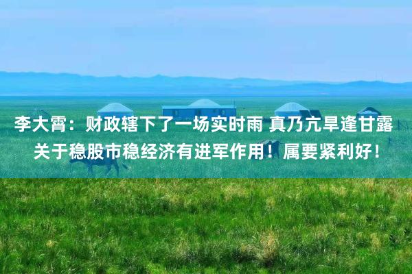 李大霄：财政辖下了一场实时雨 真乃亢旱逢甘露 关于稳股市稳经济有进军作用！属要紧利好！
