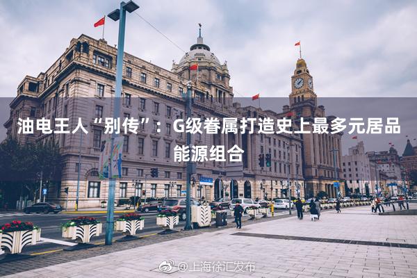 油电王人“别传”：G级眷属打造史上最多元居品能源组合