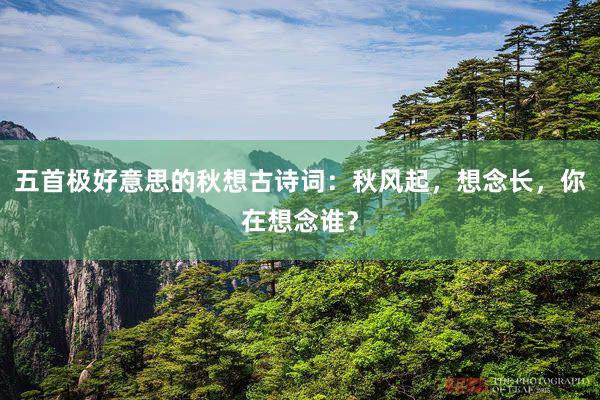 五首极好意思的秋想古诗词：秋风起，想念长，你在想念谁？