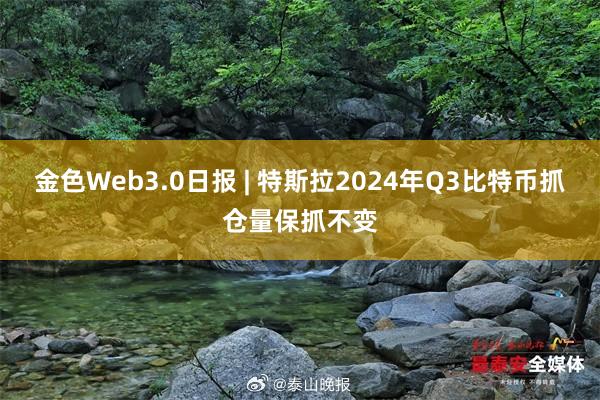 金色Web3.0日报 | 特斯拉2024年Q3比特币抓仓量保抓不变