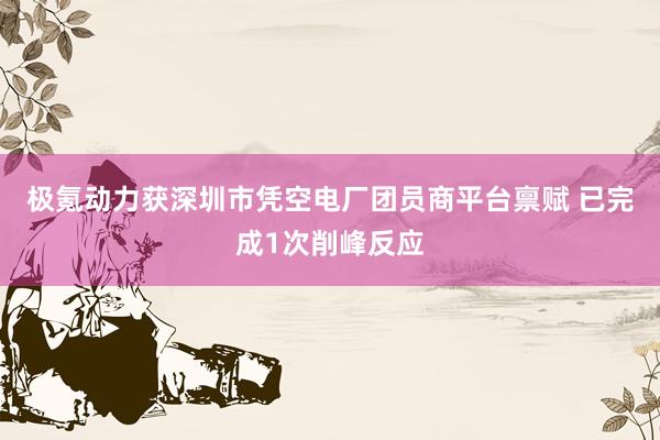 极氪动力获深圳市凭空电厂团员商平台禀赋 已完成1次削峰反应