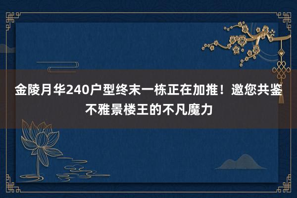 金陵月华240户型终末一栋正在加推！邀您共鉴不雅景楼王的不凡魔力