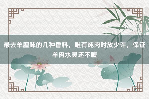 最去羊膻味的几种香料，唯有炖肉时放少许，保证羊肉水灵还不膻