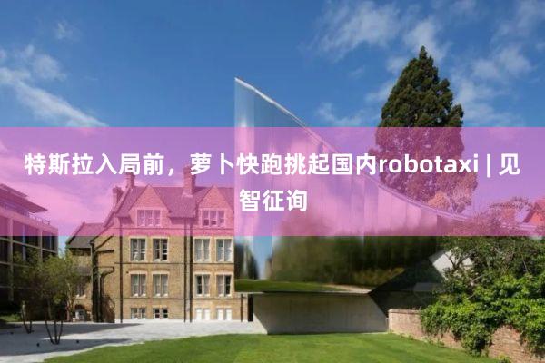 特斯拉入局前，萝卜快跑挑起国内robotaxi | 见智征询