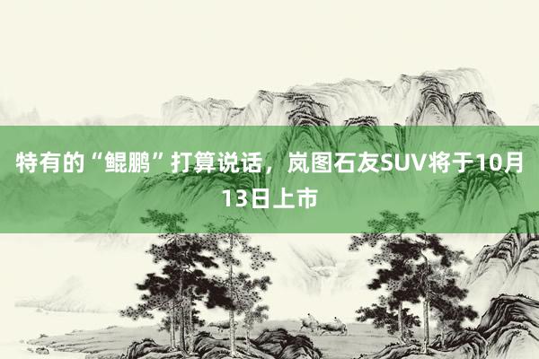 特有的“鲲鹏”打算说话，岚图石友SUV将于10月13日上市