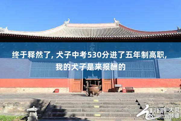 终于释然了, 犬子中考530分进了五年制高职, 我的犬子是来报酬的