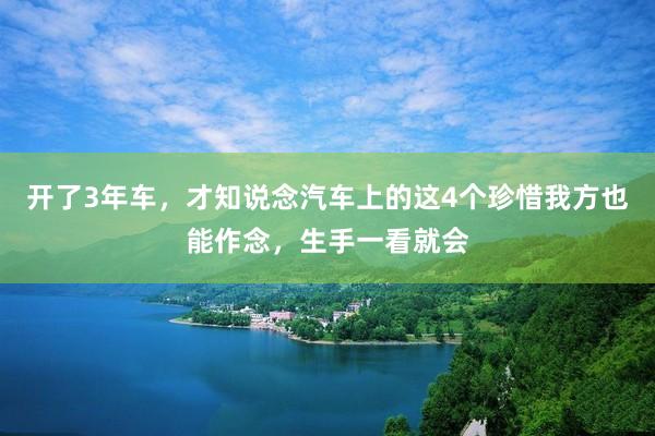 开了3年车，才知说念汽车上的这4个珍惜我方也能作念，生手一看就会