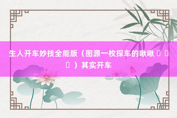 生人开车妙技全能版（图源一枚探车的啾啾 ​​​）其实开车