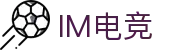 IM(股份有限公司)电竞-电子竞技平台